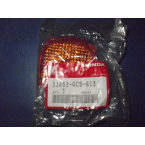 BLINKGLAS 33602-GC5-613