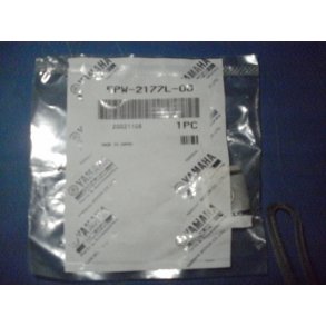 PLATE SPRING 5PW-2177L-00