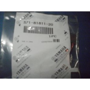 BRUSH 1 FJ 1100 1200 OG ANDRE 371-81811-20