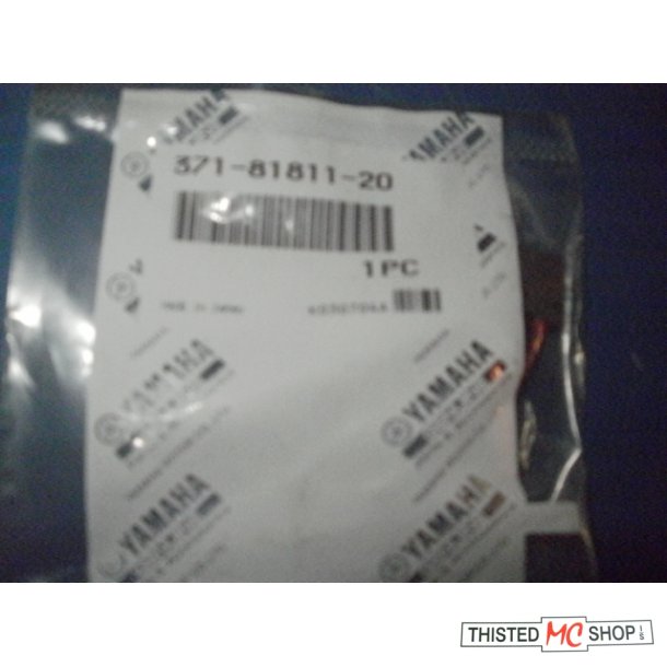 BRUSH 1 FJ 1100 1200 OG ANDRE 371-81811-20