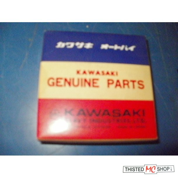 RING SET PISTON 050 13025-044