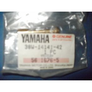 STRLERR NOZZLE MAIN YTZ 250 38W-14141-42