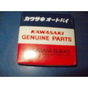 RING SET 050 KH 750 13025-5001