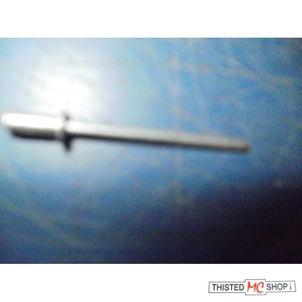 RIVET 09229-03009