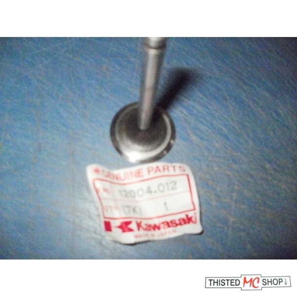 VALVE INLET 12004-012