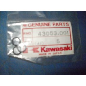 SHAFT O-RING  H1 H2 43053-001