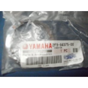 SETTING PLATE BULB 2F9-84375-00