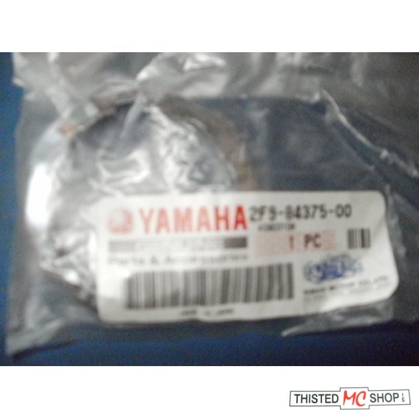 SETTING PLATE BULB 2F9-84375-00