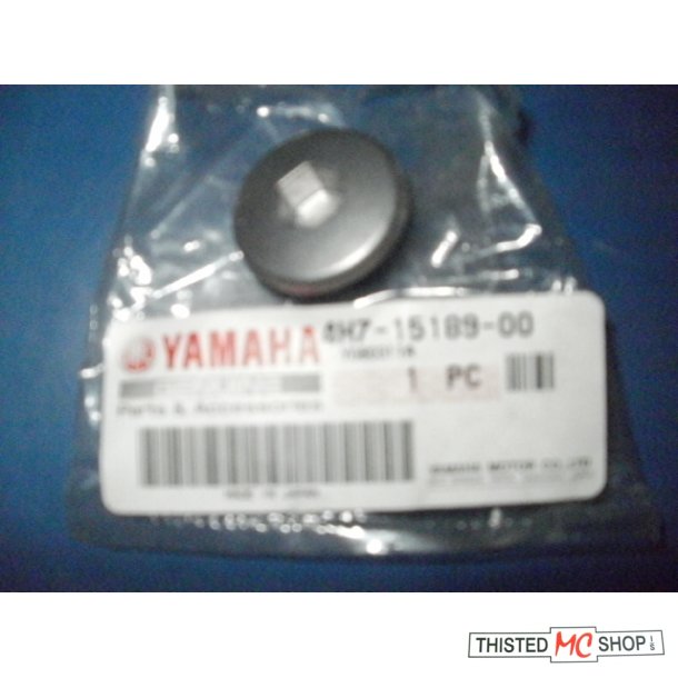 PLUG 4H7-15189-00