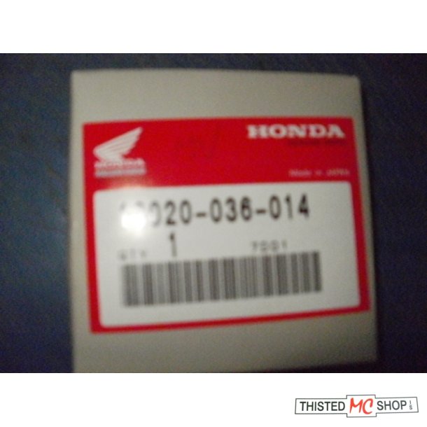 RINGST 025 CD 50  ST 50 DAX 13020-036-014 39,25MM