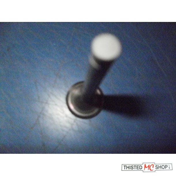 VALVE EXHAUST 12005-008