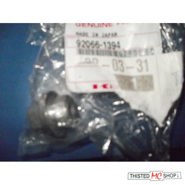 PLUG 92066-1394
