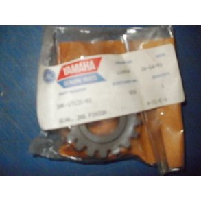 GEAR 2ND PINION XT 600 34K-17121-00