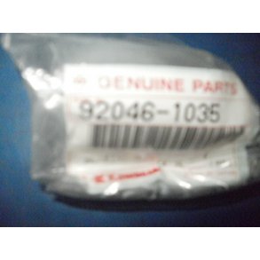 NLE LEJE NEEDLE BEARING 92046-1035