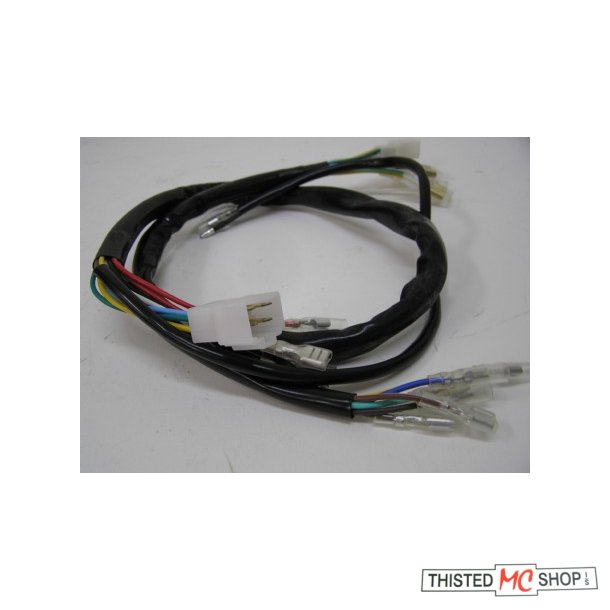LEDNINGS NET WIRE HARNESS FS1 50 469-82590-20UO 1974-79 