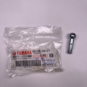 BOLT YBR 250 90109-08177