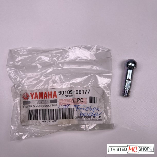 BOLT YBR 250 90109-08177