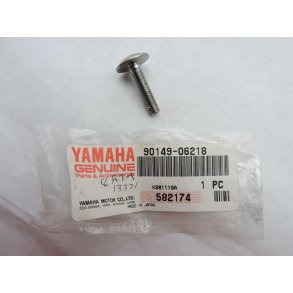 SKRUE FZR 1000 OG ANDRE 90140-06218