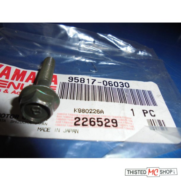 SCREW PAN 95817-06030