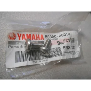 SCREW BIND 98980-06014