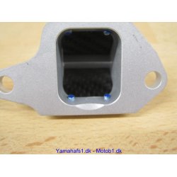 MEMBRAN DOBBELT 0,2 STD  FS1 50 378-13610-00UO 