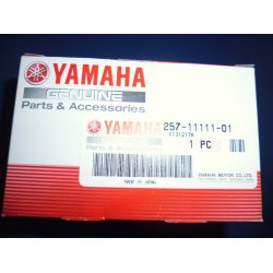 TOPSTYKKE  FS1 50 257-11111-01 257-11111-01-94 40.00 MM K - DX 1969-79 DEMO