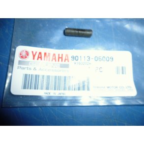 BOLT KOBLINGSSNEGL  FS1 50 90113-06009 257-16343-00