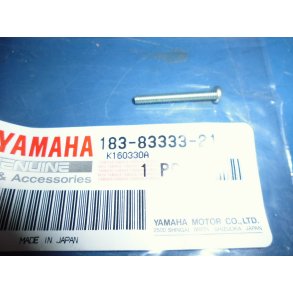 SKRUE BLINKLYSGLAS  FS1 50 183-83333-21  K - DX 1969-76 3X25MM