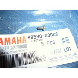 STJERNESKRUE  BLINKLYS  FS1 50 98501-03006 98580-03006    98580-03005 K - DX 1977-79  STK MED PRIK