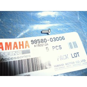 STJERNESKRUE  BLINKLYS  FS1 50 98501-03006 98580-03006    98580-03005 K - DX 1977-79  STK MED PRIK