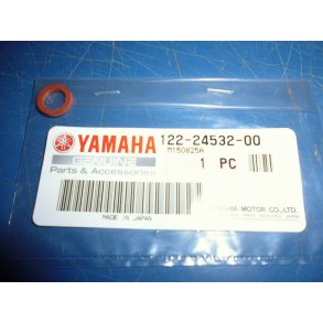 PAKNING  NUT BENZINHANE  FS1 50 122-24532-00