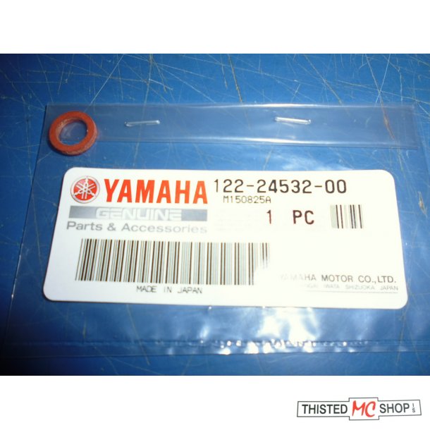 PAKNING GASKET NUT FS1 50 122-24532-00