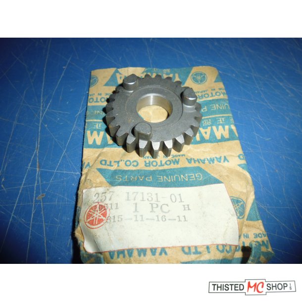 GEARDREV 3 GEAR 23T FS1 50 257-17131-01