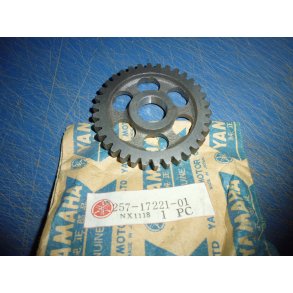 GEARHJUL 2 GEAR 34T FS1 50 257-17221-01