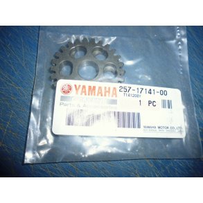 GEARDREV  4 GEAR 26T FS1 50 257-17141-00 