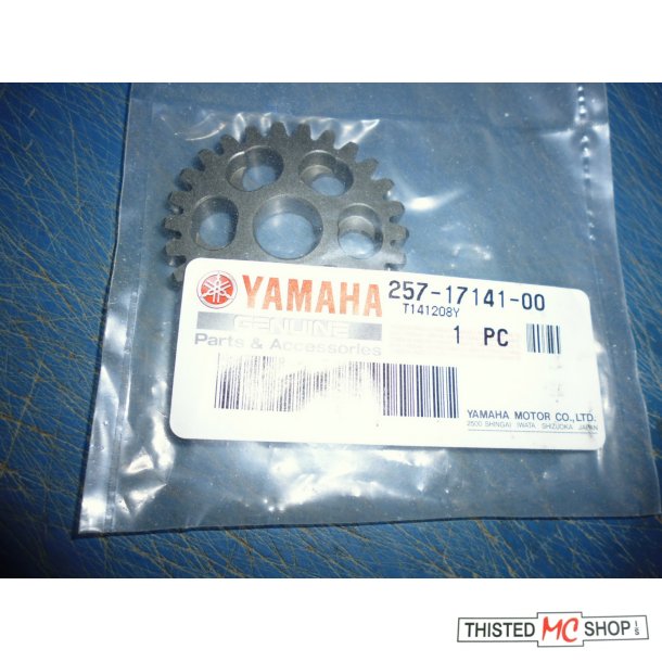 GEARDREV  4 GEAR 26T FS1 50 257-17141-00 