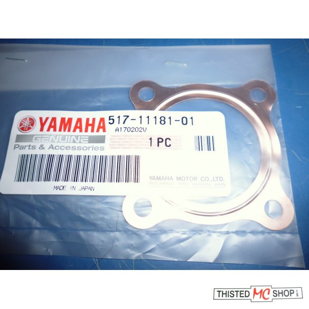 TOP PAKNING   FS1 50 STING SG 50  PW 50  MR 50 DT 50  517-11181-01 107-11181-00