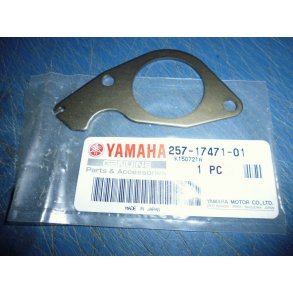 PLADE LEJE FS1 50 257-17471-00  257-17471-01