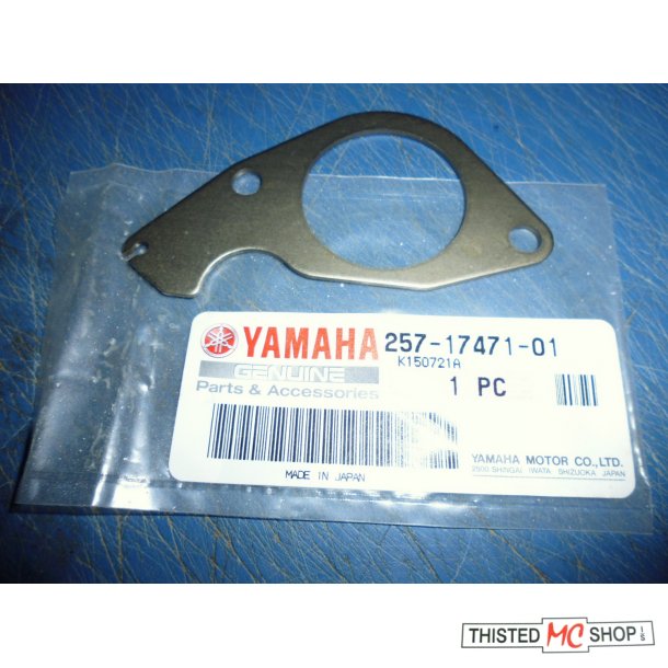 PLATE BEARING FS1 50 257-17471-00  257-17471-01