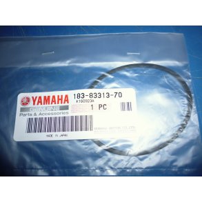 PAKNING BLINKLYSGLAS FS1 50 183-83313-70 183-83313-20 1969-76