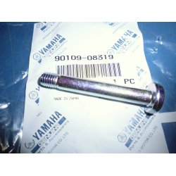 BOLT KDEHJUL BAG SPROCKET  FS1 50 90109-08319 109-25411-00 K-DX 1977-79