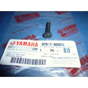 BOLT KICKSTARTERPEDAL  FS1 50 97017-06025 97301-06025  97311-06025 97011-06025 97321-06025