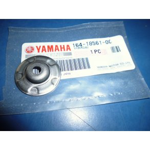 PLADE  SIDE FS1 50 164-18561-00 