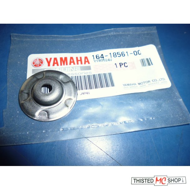 PLADE PLATE SIDE FS1 50 164-18561-00 