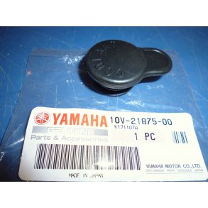 CAP DT 125LC 10V-21875-00