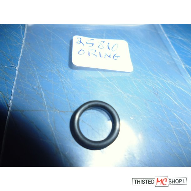 ORING KALIBER FS1 50 481-25810-00UO 1V1-25810-00UO 526-25810-00UO