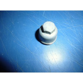 BENZINHANE BUND  FS1 50 122-24521-00 1969-79 BRUGT