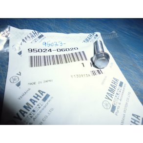 BOLT FS1 50 95024-06020