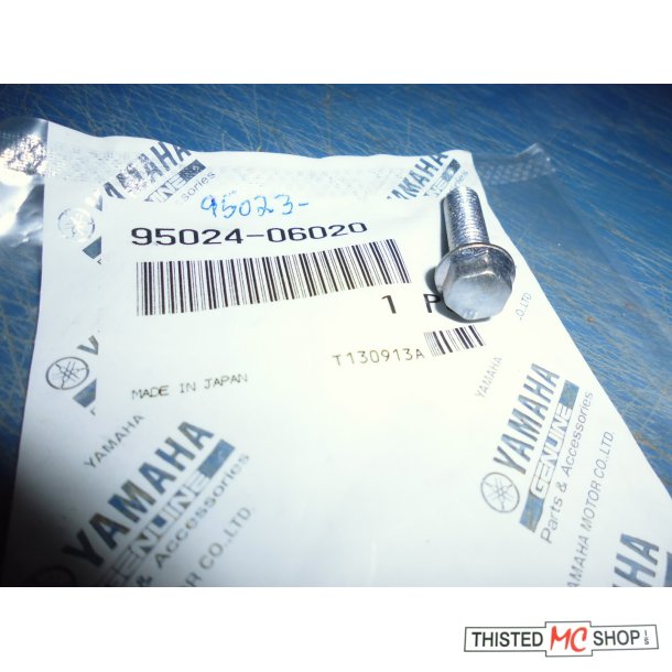 BOLT FS1 50 95024-06020