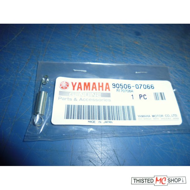FJEDER KOBLINGSDKSEL FS1 50 90506-07066 257-16345-00